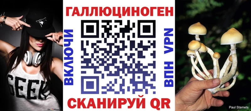 Галлюциногенные грибы Cubensis  Купить  Нижние Серги 